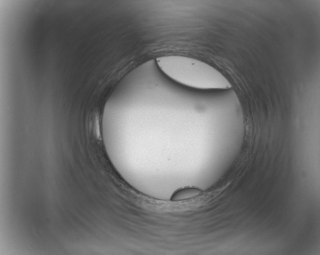 X0000075830046200609150857