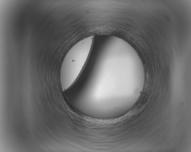 X0000075830048200609150857