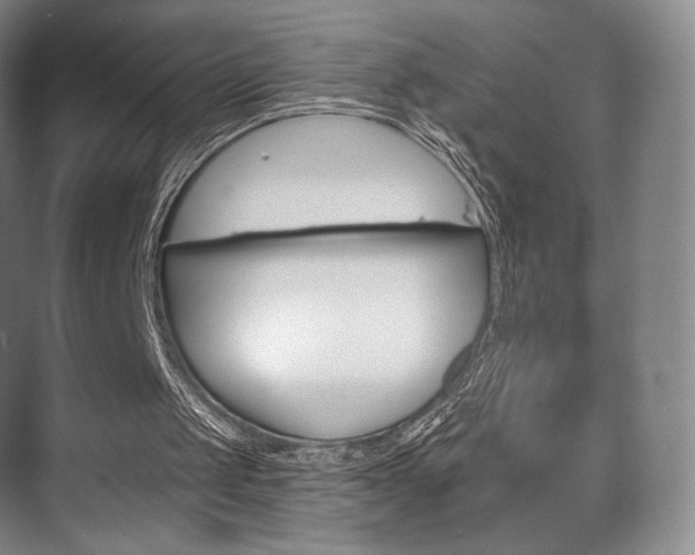 X0000075830049200609150856