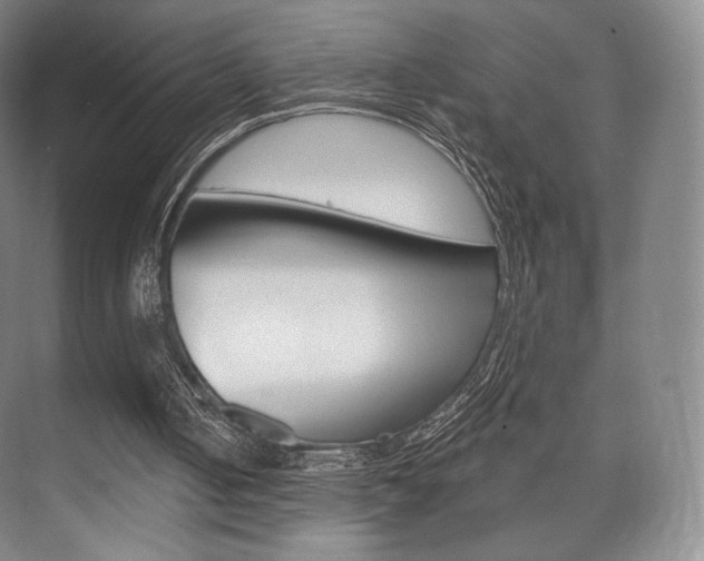 X0000075830050200609150856