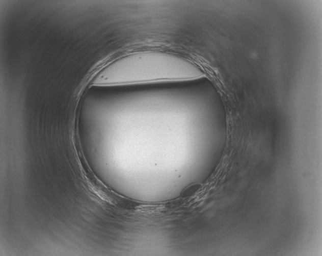 X0000075830051200609150856