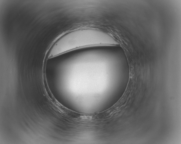 X0000075830052200609150856