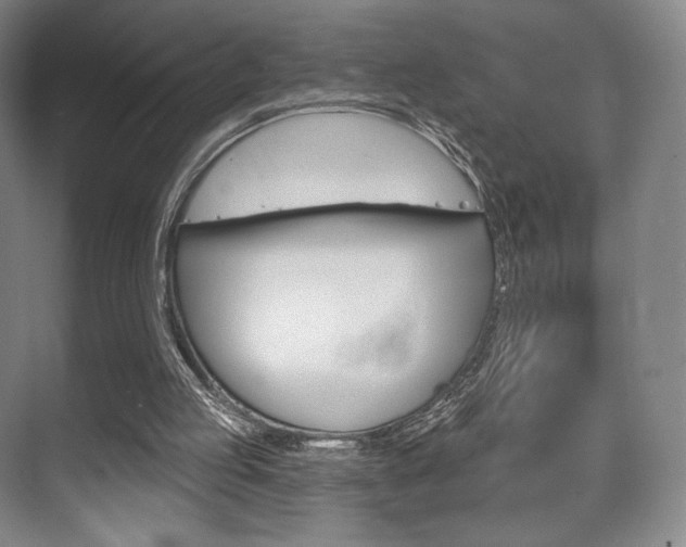 X0000075830053200609150856