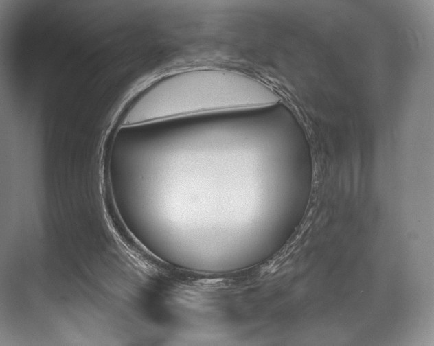 X0000075830054200609150856