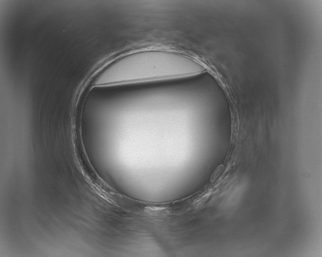 X0000075830055200609150856