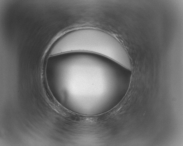 X0000075830056200609150856