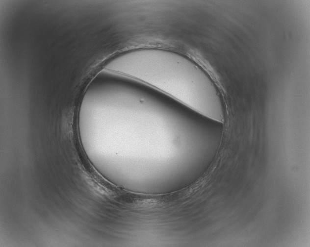 X0000075830058200609150856