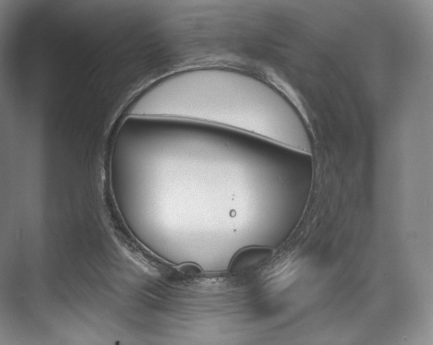 X0000075830059200609150856