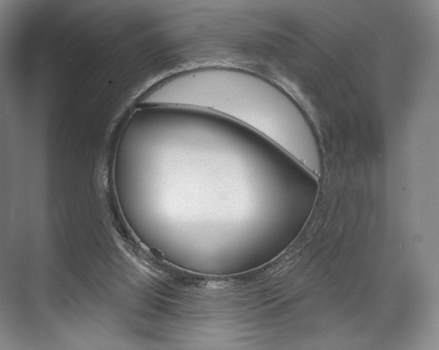 X0000075830060200609150856