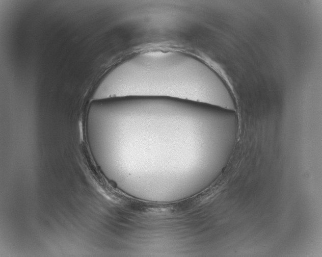 X0000075830061200609150856