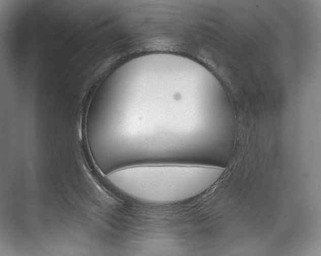 X0000075830062200609150856