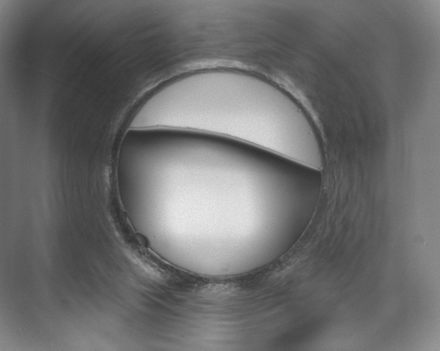 X0000075830063200609150856