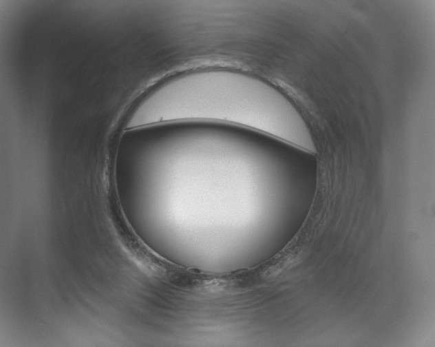 X0000075830064200609150856