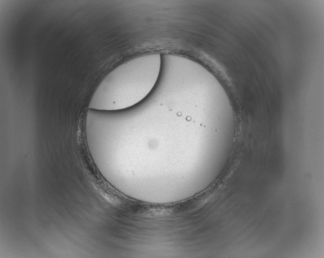 X0000075830065200609150856