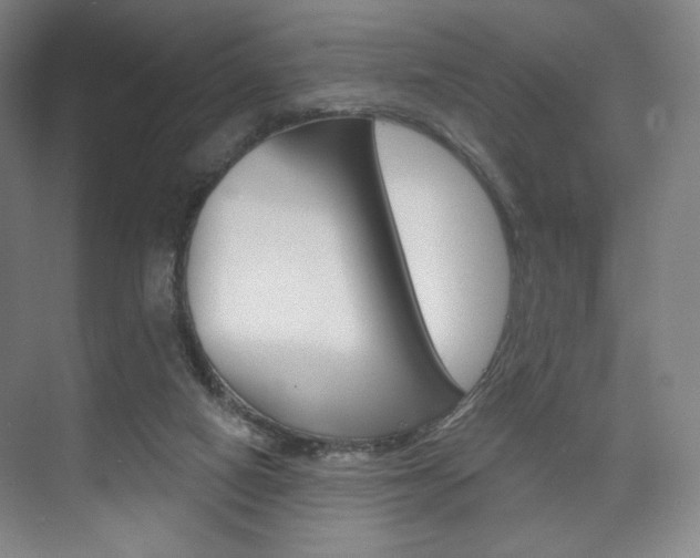 X0000075830066200609150856