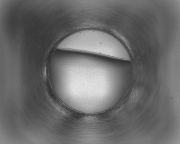 X0000075830067200609150856