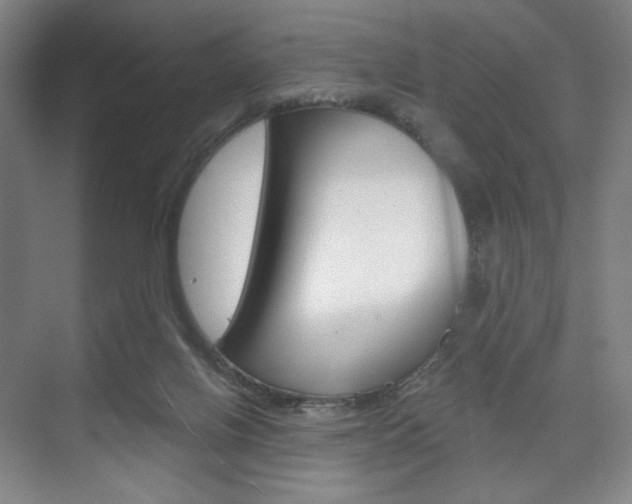 X0000075830070200609150857