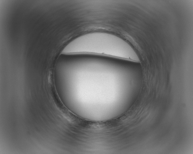 X0000075830071200609150857