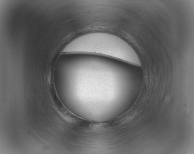 X0000075830072200609150857