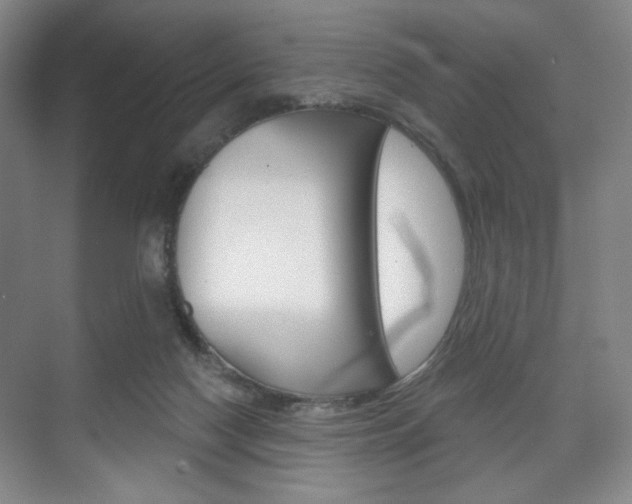 X0000075830074200609150857