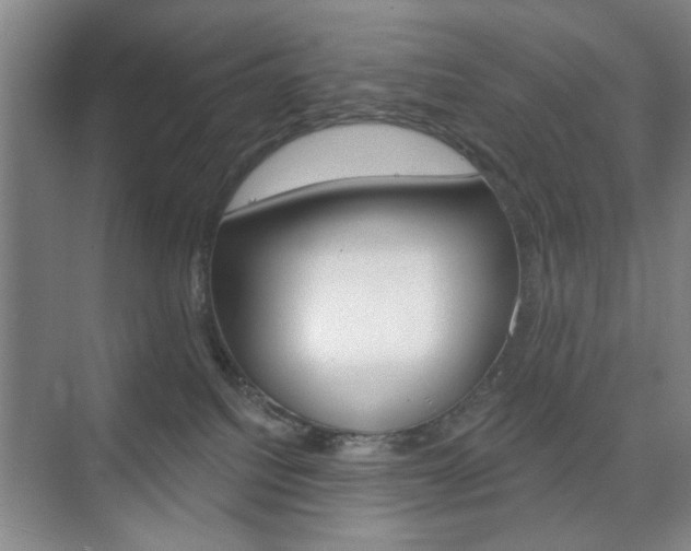 X0000075830088200609150857