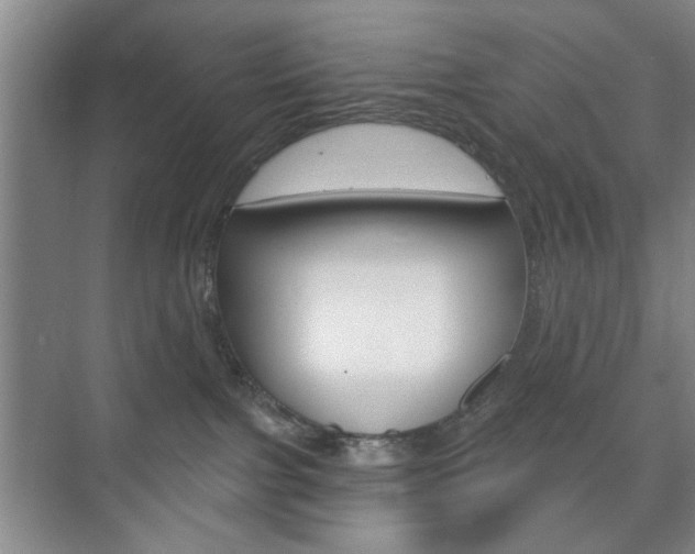 X0000075830091200609150857