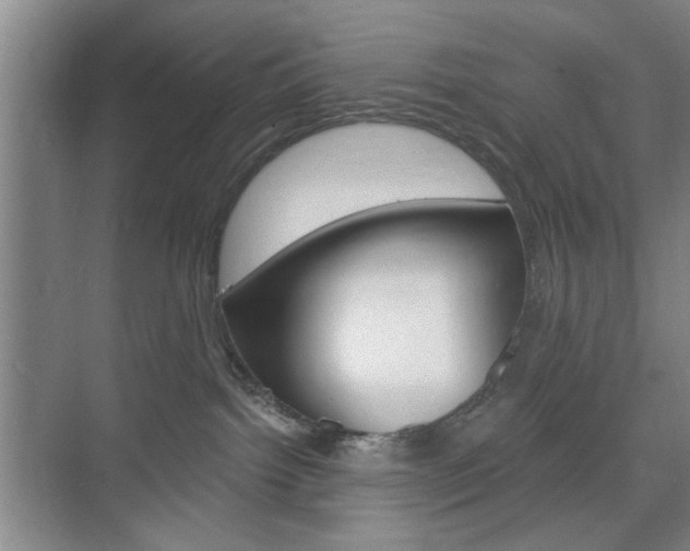 X0000075830092200609150857