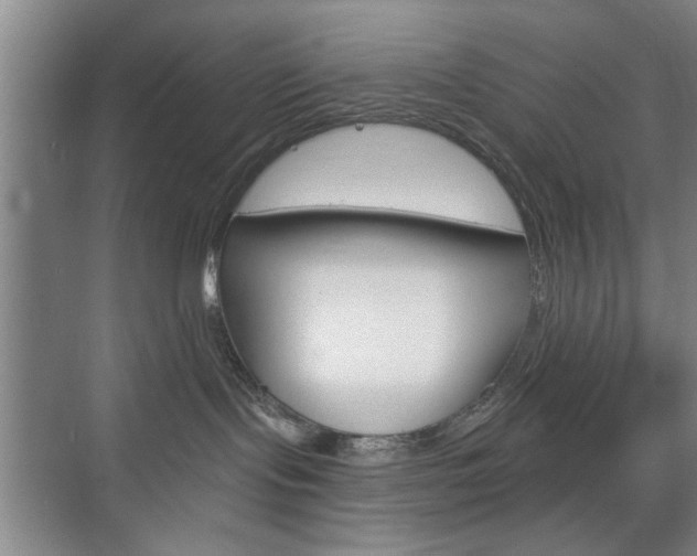 X0000075830095200609150857