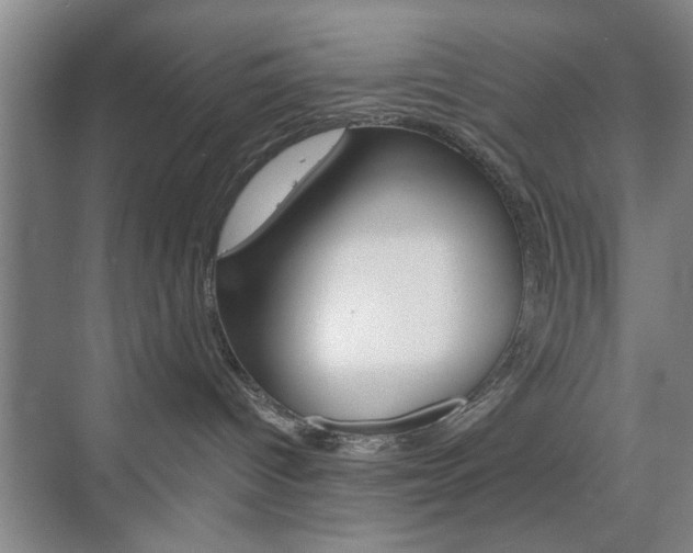 X0000075830096200609150857