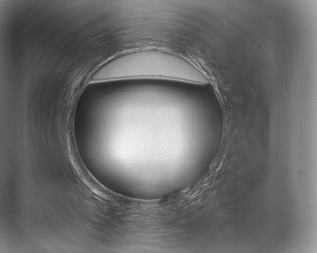 X0000075830097200609150856