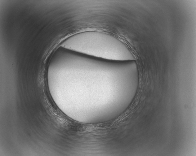 X0000075830098200609150856