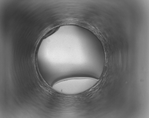 X0000075830099200609150856