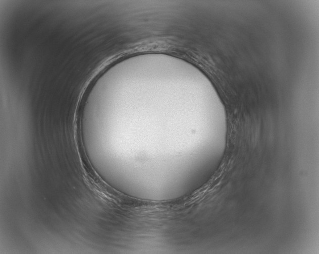 X0000075830100200609150856