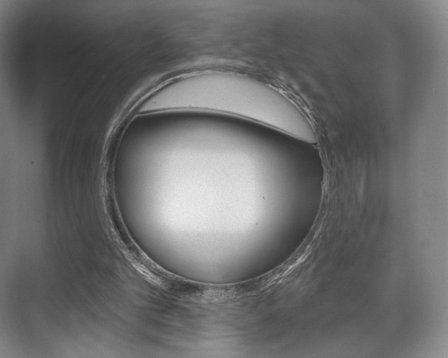 X0000075830101200609150856