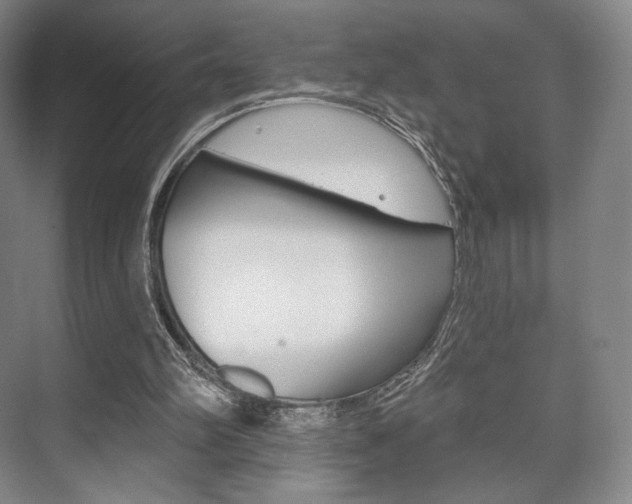 X0000075830102200609150856