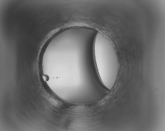 X0000075830104200609150856