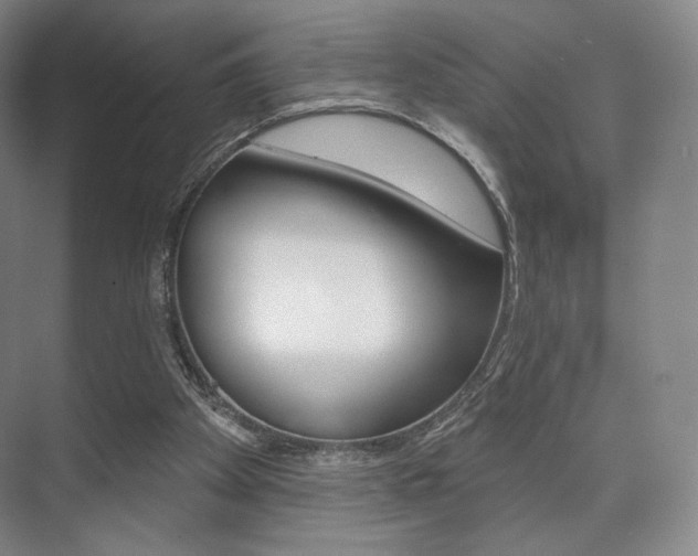 X0000075830105200609150856