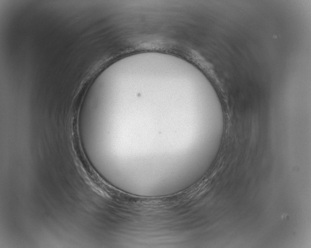 X0000075830106200609150856