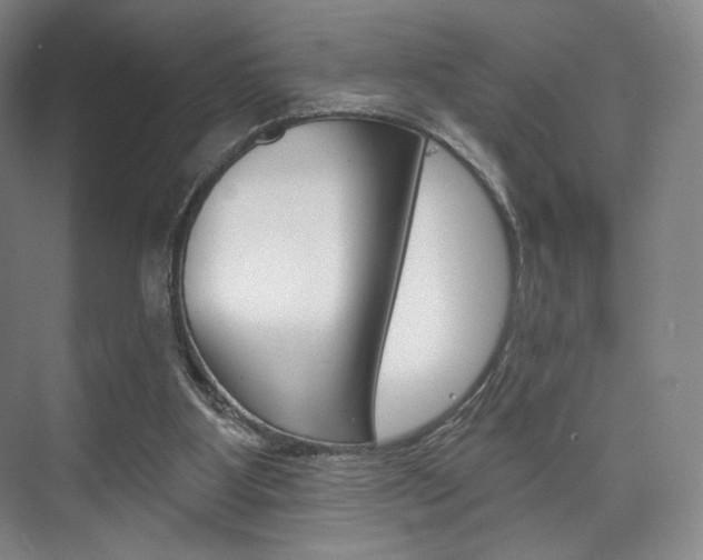 X0000075830107200609150856