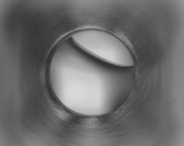 X0000075830108200609150856