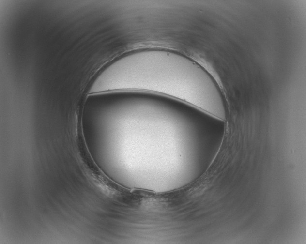 X0000075830109200609150856