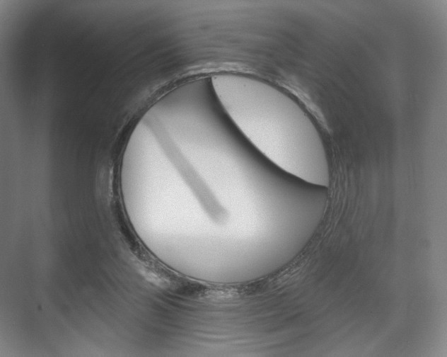 X0000075830110200609150856