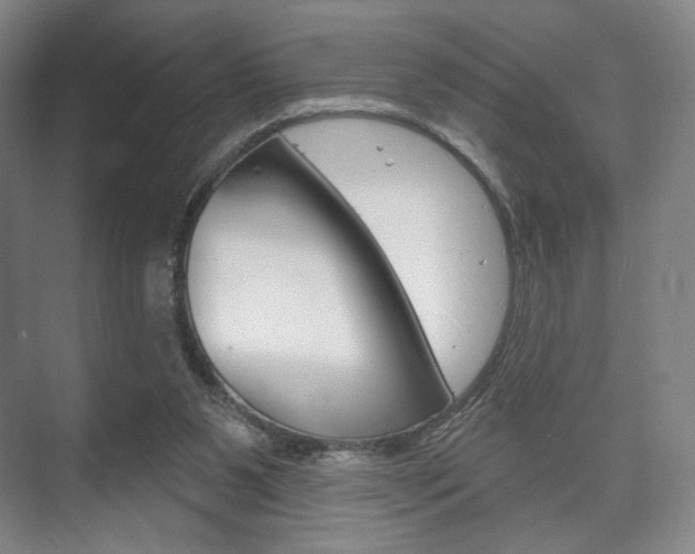 X0000075830111200609150856