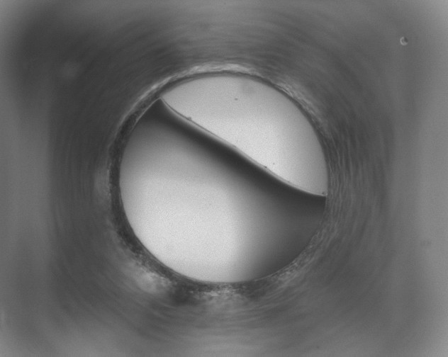 X0000075830112200609150856