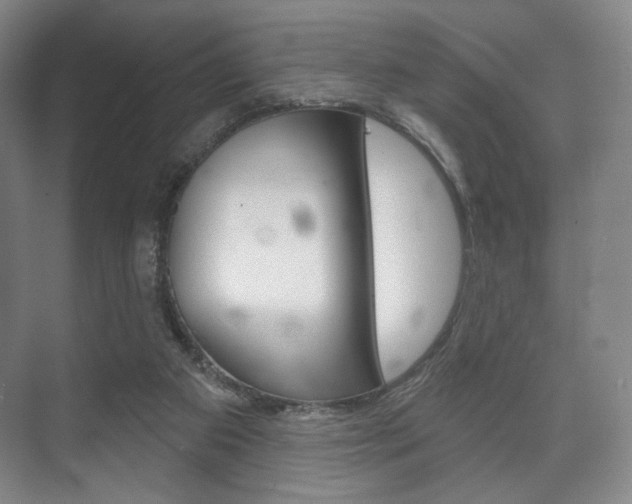 X0000075830113200609150856