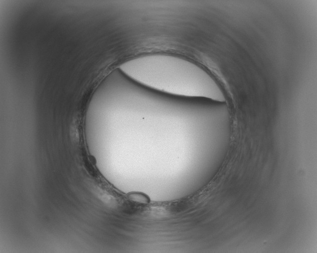 X0000075830114200609150856