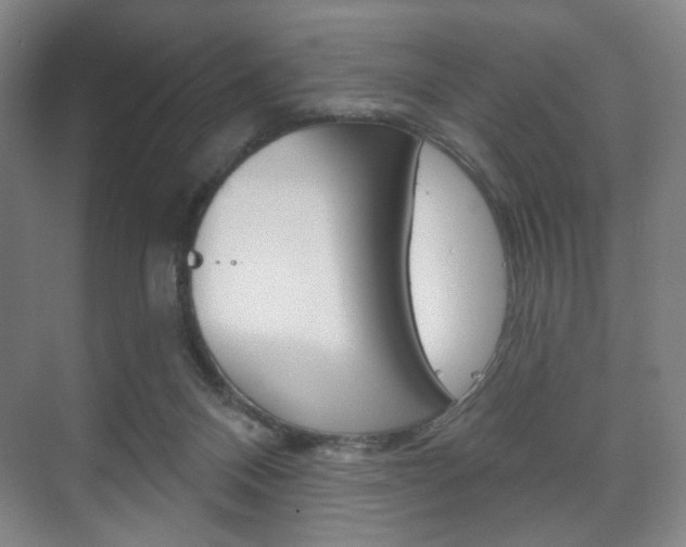 X0000075830120200609150856