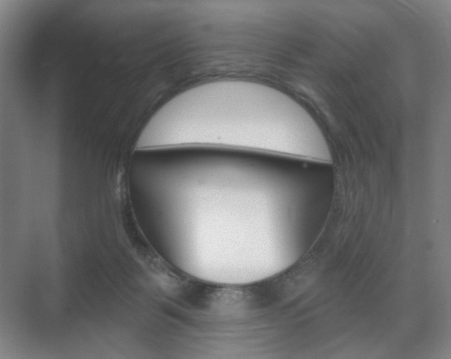 X0000075830123200609150856