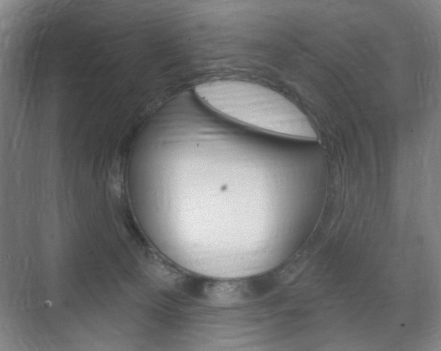 X0000075830129200609150856