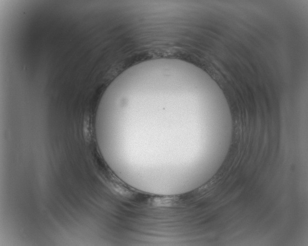 X0000075830134200609150856